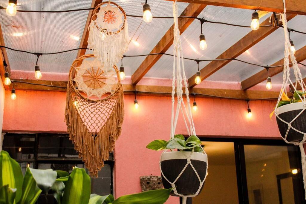 New Mex Inspired Bo-Ho Chic Apartment With Private Patio And Roof Terrace 멕시코 시 외부 사진