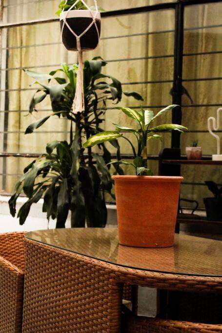 New Mex Inspired Bo-Ho Chic Apartment With Private Patio And Roof Terrace 멕시코 시 외부 사진