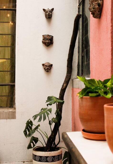 New Mex Inspired Bo-Ho Chic Apartment With Private Patio And Roof Terrace 멕시코 시 외부 사진
